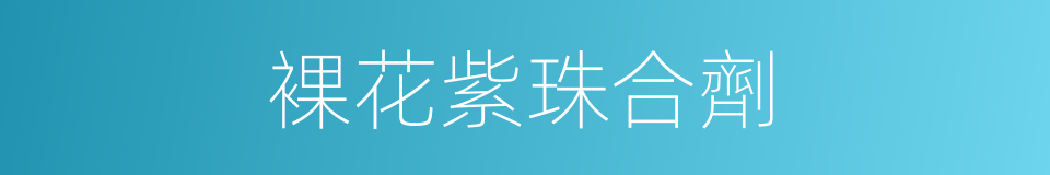 裸花紫珠合劑的同義詞