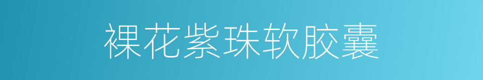 裸花紫珠软胶囊的同义词