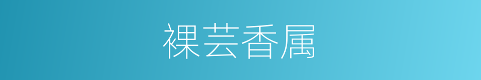 裸芸香属的同义词