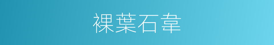 裸葉石韋的同義詞
