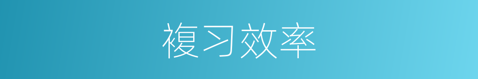 複习效率的同义词