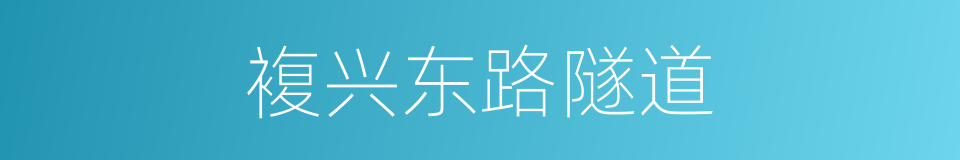 複兴东路隧道的同义词