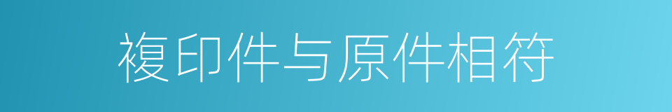 複印件与原件相符的同义词