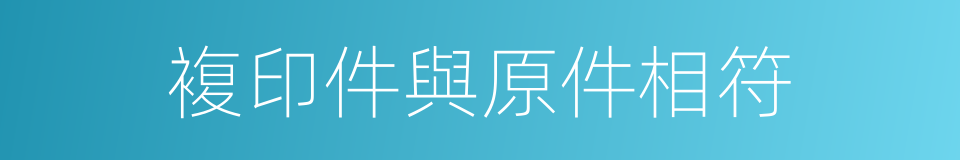 複印件與原件相符的同義詞