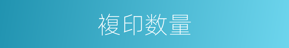 複印数量的同义词
