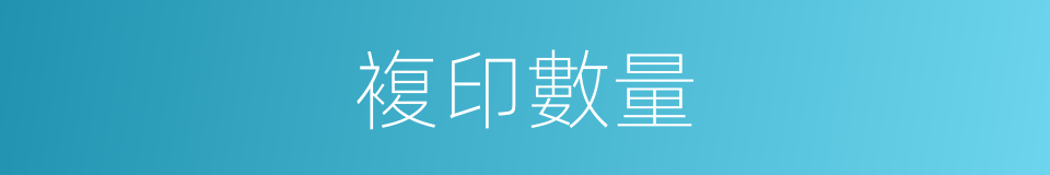 複印數量的同義詞