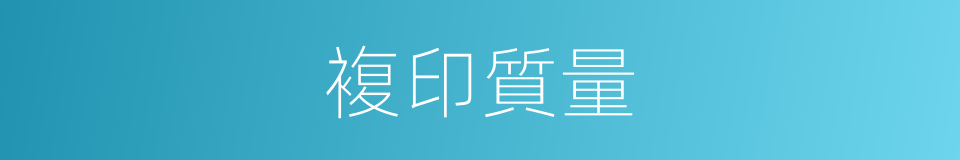 複印質量的同義詞