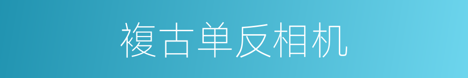 複古单反相机的同义词
