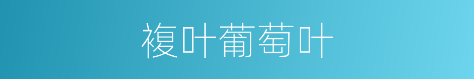 複叶葡萄叶的同义词