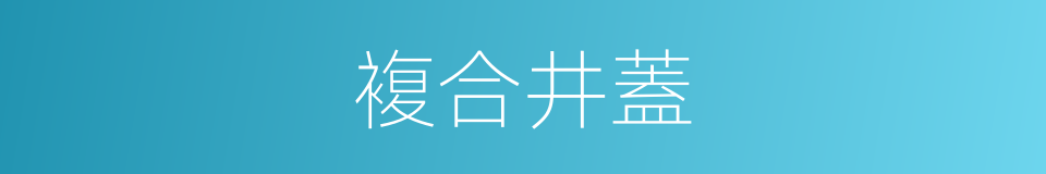 複合井蓋的同義詞