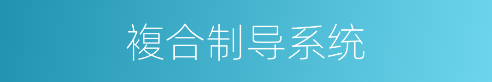 複合制导系统的同义词