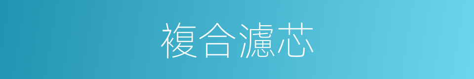 複合濾芯的同義詞