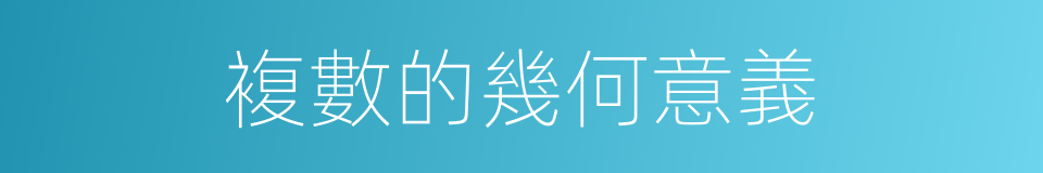 複數的幾何意義的同義詞
