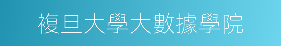 複旦大學大數據學院的同義詞