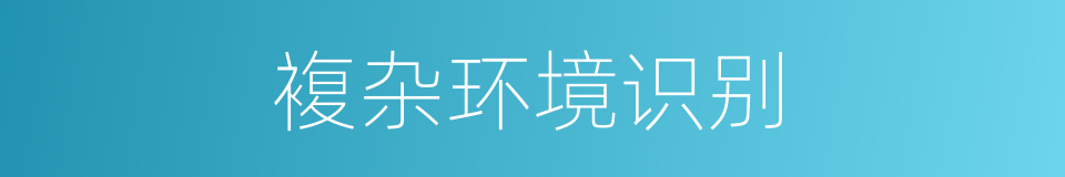 複杂环境识别的同义词