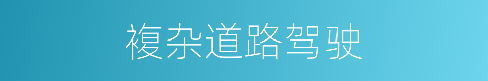 複杂道路驾驶的同义词