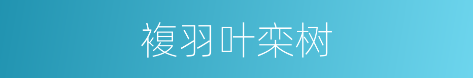 複羽叶栾树的同义词