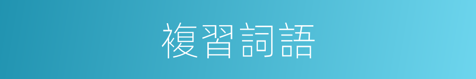 複習詞語的同義詞