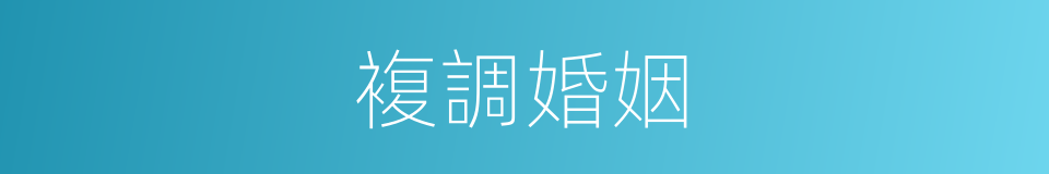 複調婚姻的同義詞