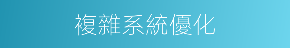 複雜系統優化的同義詞
