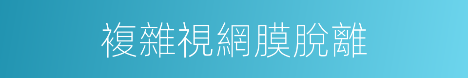複雜視網膜脫離的同義詞