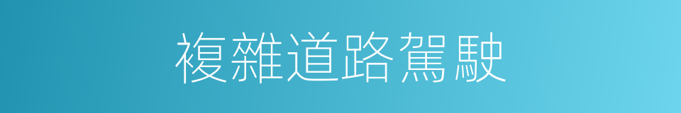 複雜道路駕駛的同義詞