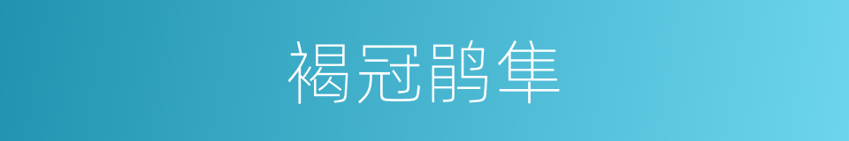 褐冠鹃隼的同义词