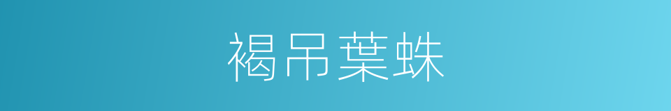 褐吊葉蛛的同義詞