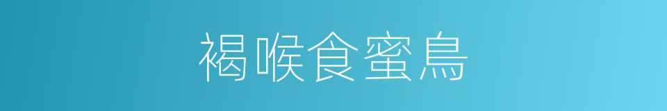 褐喉食蜜鳥的同義詞