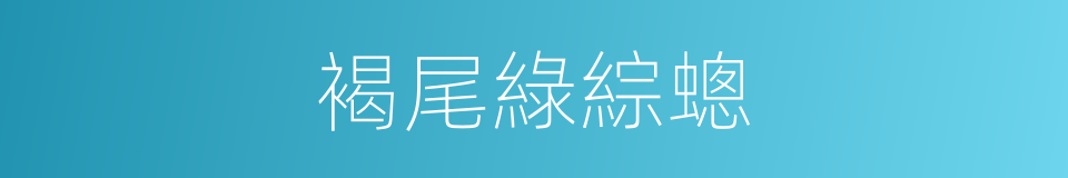 褐尾綠綜蟌的同義詞