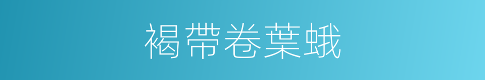 褐帶卷葉蛾的同義詞