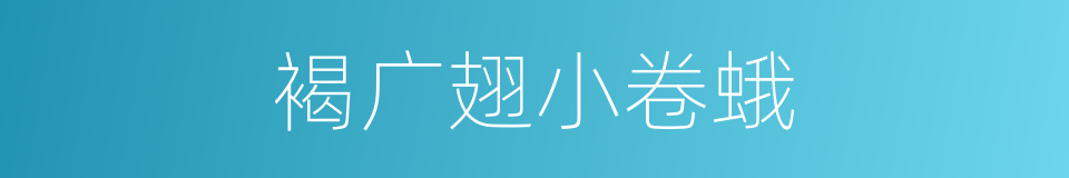 褐广翅小卷蛾的同义词