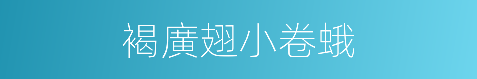 褐廣翅小卷蛾的同義詞