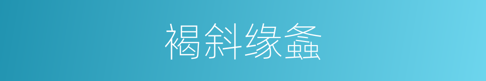 褐斜缘螽的同义词