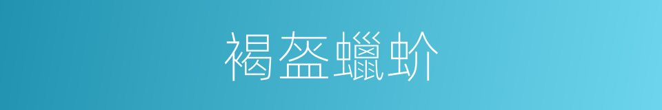 褐盔蠟蚧的同義詞