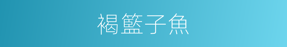 褐籃子魚的同義詞