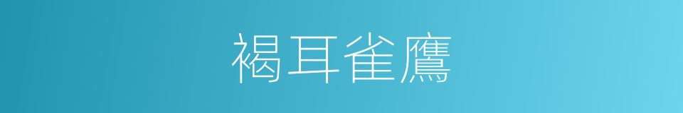 褐耳雀鷹的同義詞