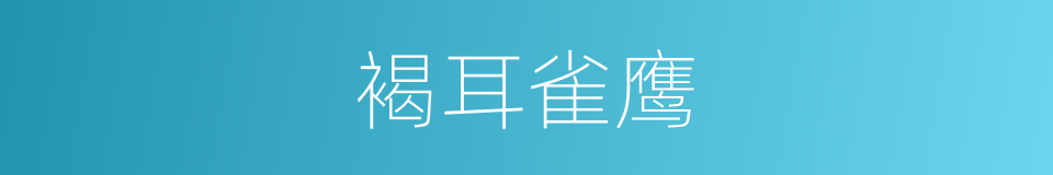 褐耳雀鹰的同义词