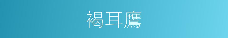 褐耳鷹的同義詞