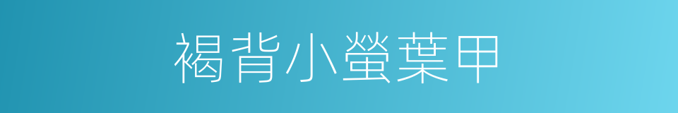 褐背小螢葉甲的同義詞