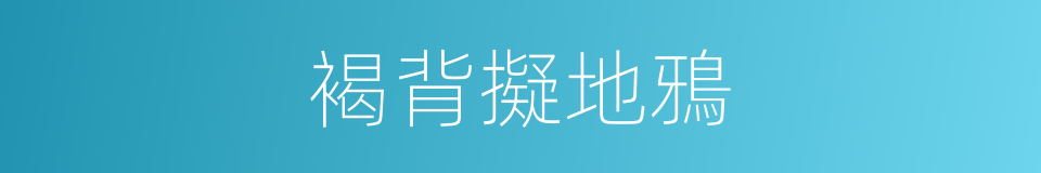 褐背擬地鴉的同義詞