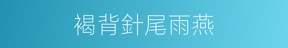 褐背針尾雨燕的同義詞
