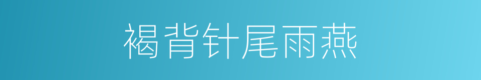 褐背针尾雨燕的同义词