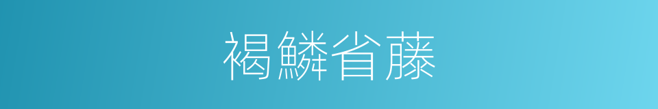 褐鱗省藤的同義詞