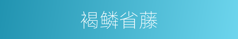 褐鳞省藤的同义词