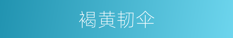 褐黄韧伞的同义词