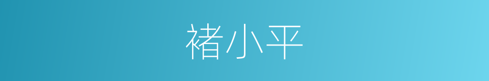 褚小平的同义词