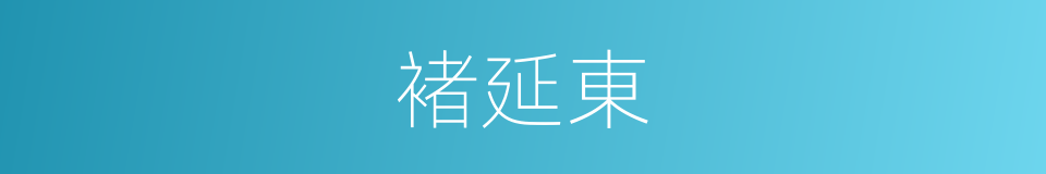 褚延東的同義詞