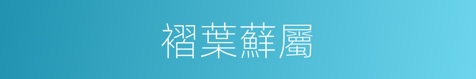 褶葉蘚屬的意思