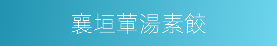襄垣葷湯素餃的同義詞